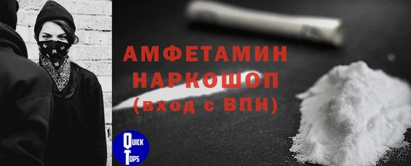 сатива Зеленокумск