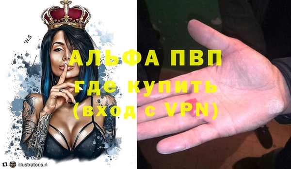 сатива Зеленокумск