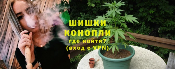сатива Зеленокумск