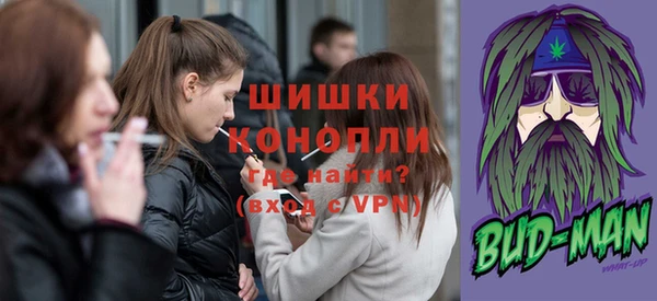 сатива Зеленокумск